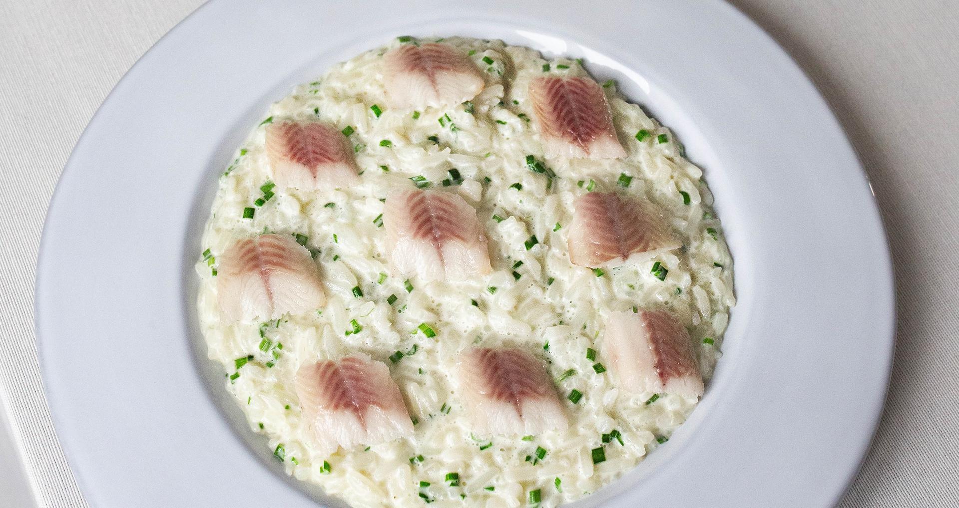 smoked eel risotto banner image taste explorer