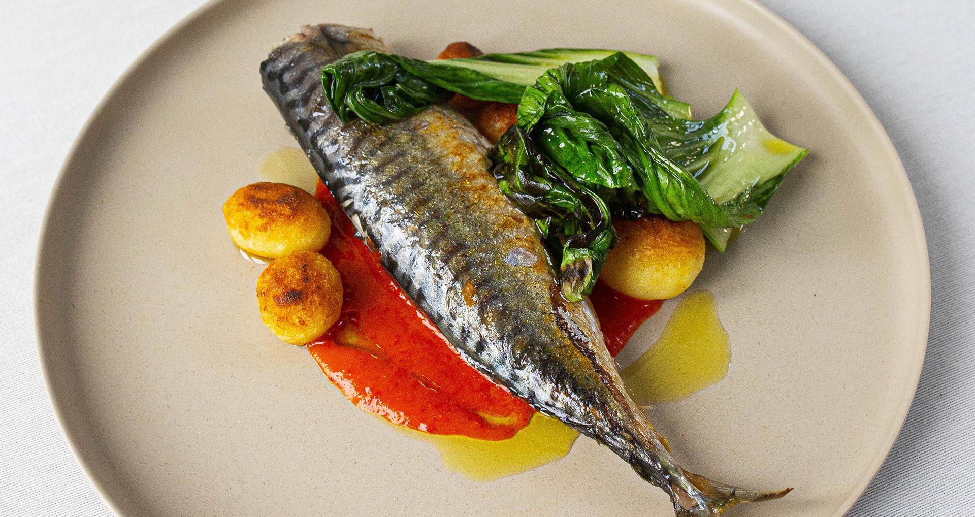 mackerel banner image taste explorer