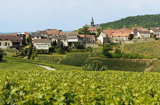 RSRV–behind-the-cuvée