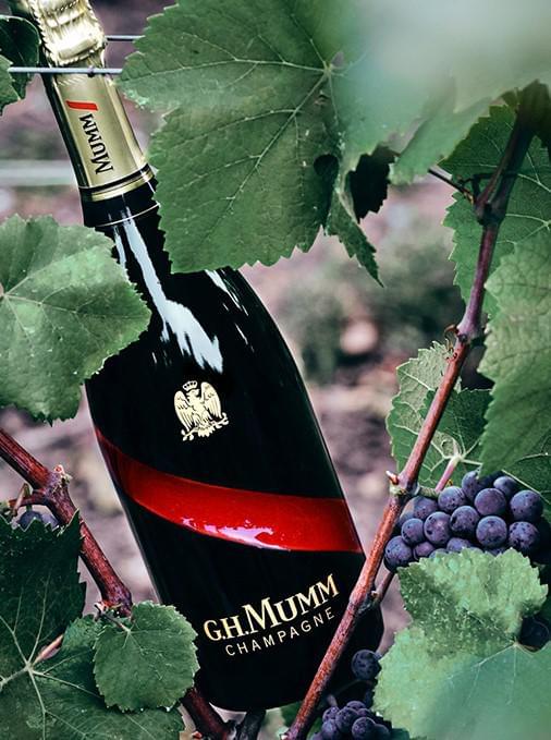 G.H. Mumm Grand Cordon Brut Champagne NV - Divino