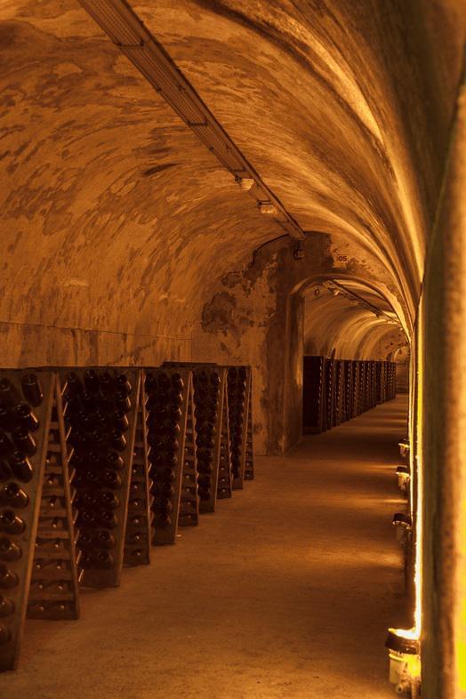 previewmedium-cavesmumm-6432-png