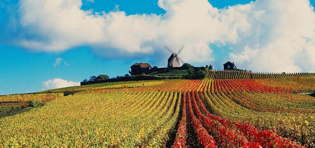 Maison Mumm – G.H.Mumm