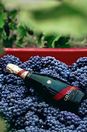 behing cuvee cordon rouge