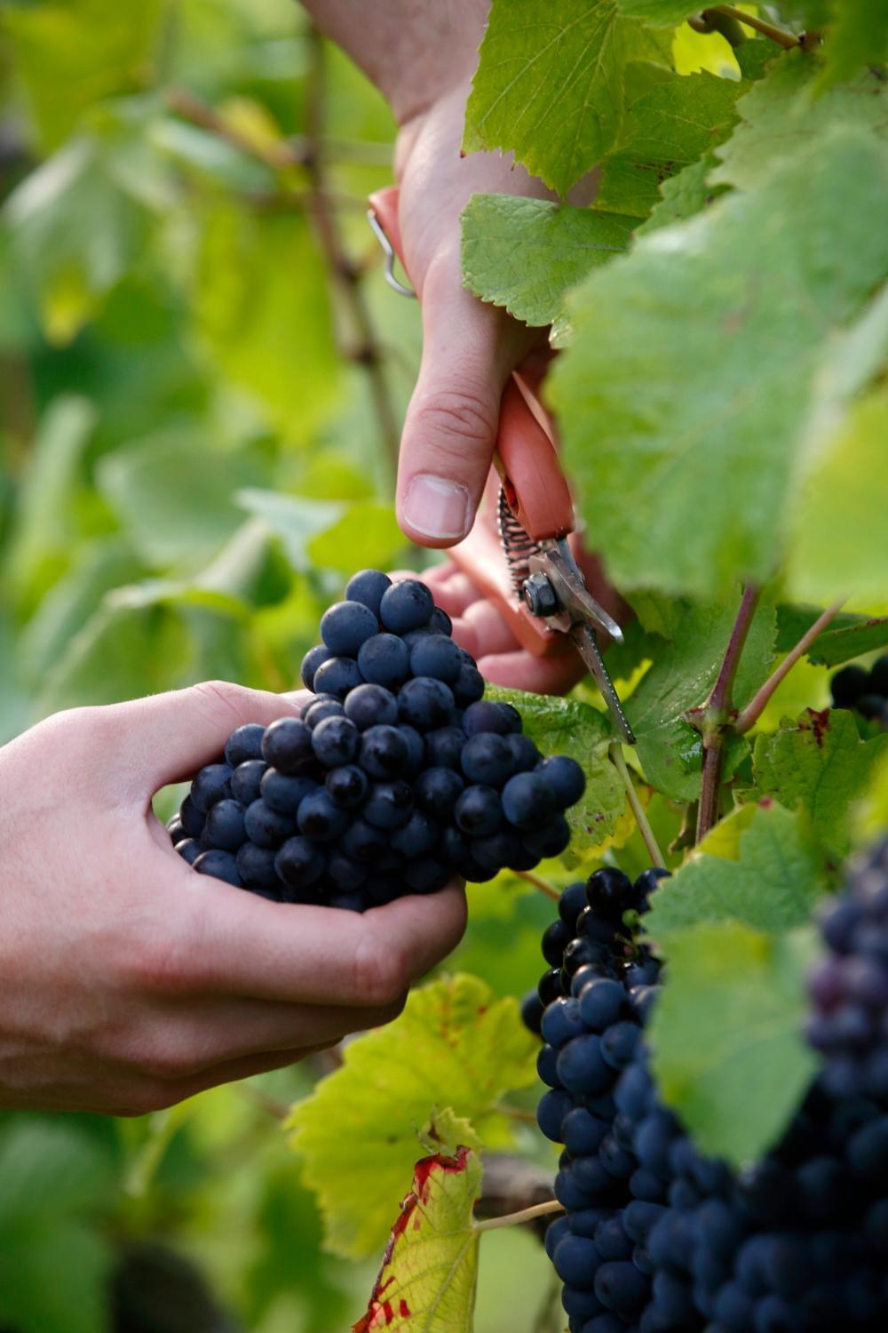 OriginalSizeJPEG-_K2A2856