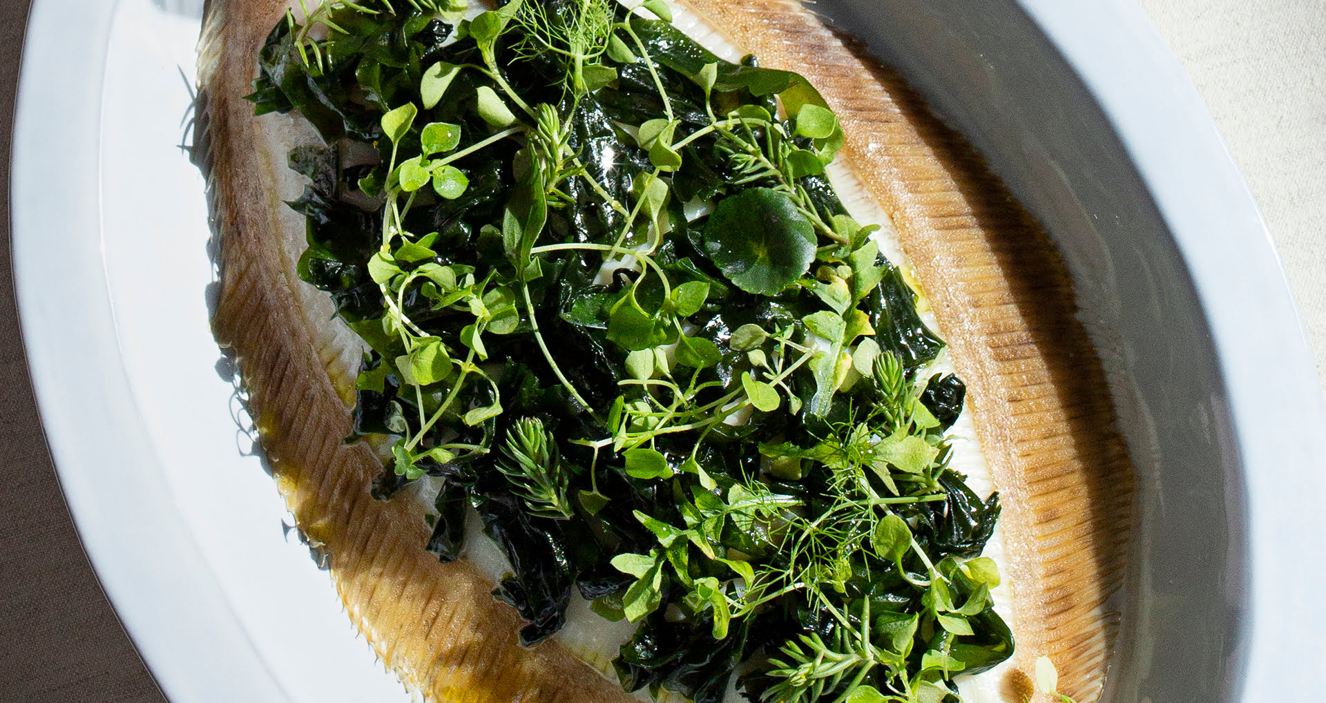 lemon sole recipe banner image taste eplorer