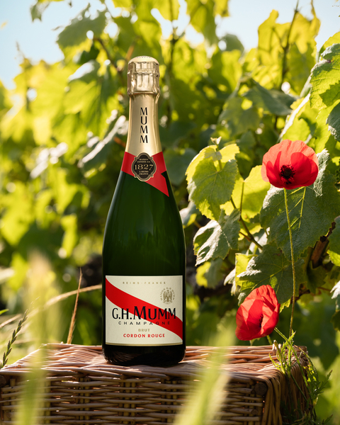cordon rouge spring shot