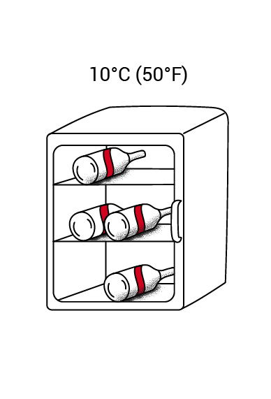Conserver_champagne_cave_10F