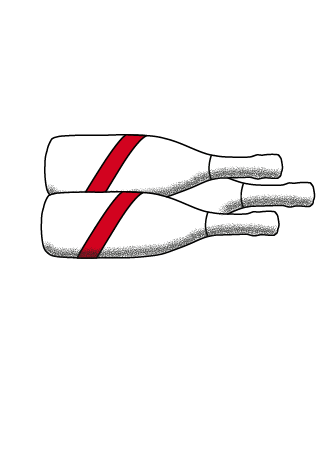 Conserver_champagne_couche seul