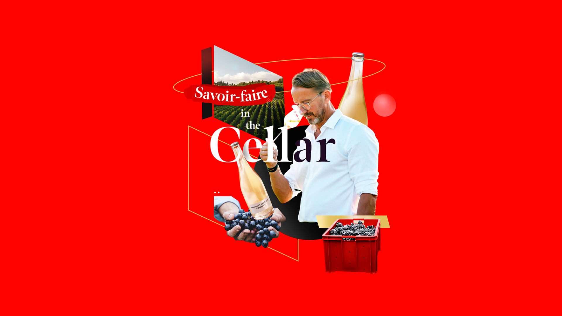 MiE Savoir Faire in the cellar video layout