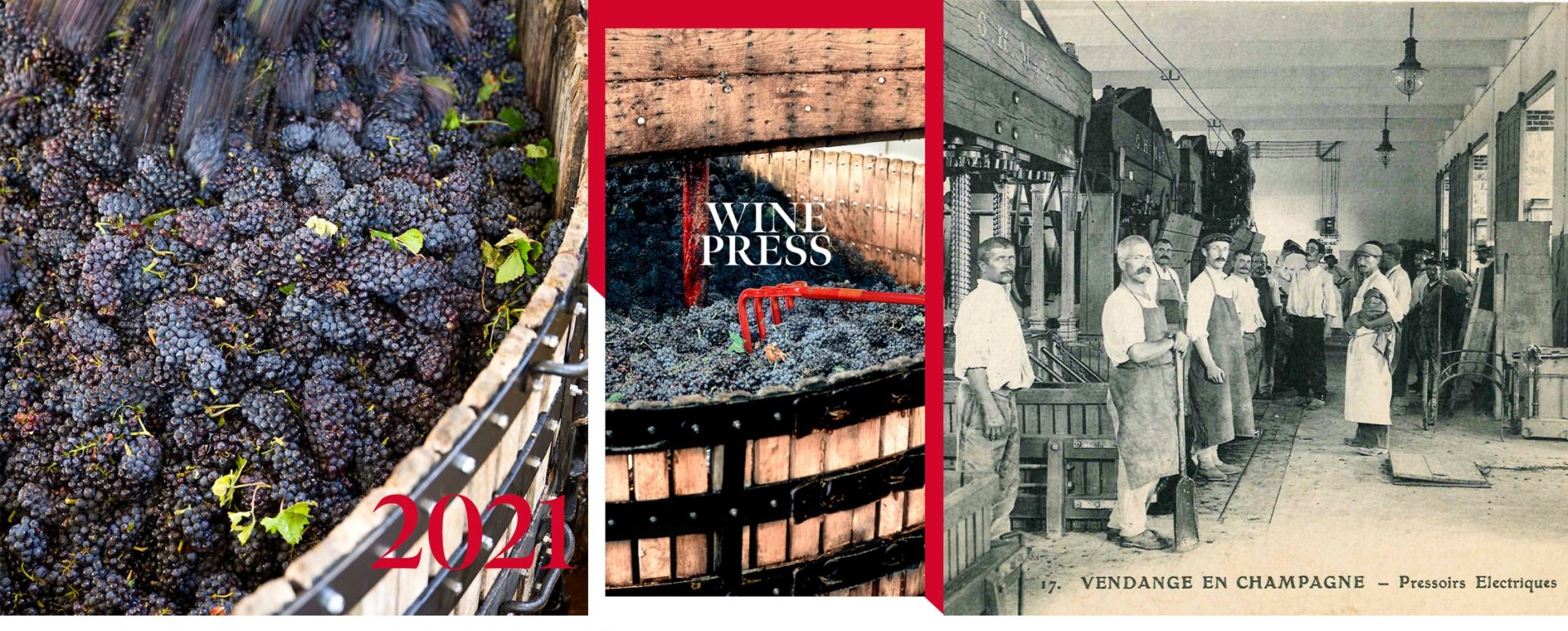 Vendimia de Mumm - 2021