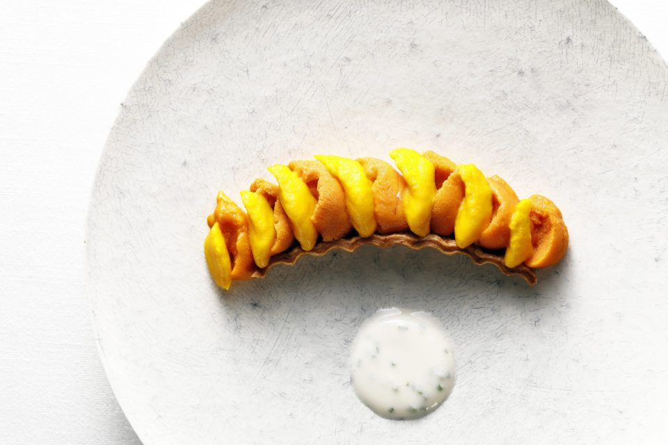 Hokkaido fresh _Bafun_ Uni tarte