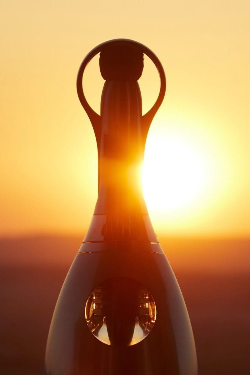 Crop – Bouteille STellar LP