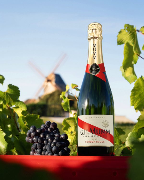 G.H.MUMM_Harvest Shooting_CR repack adapted_FY25.jpg