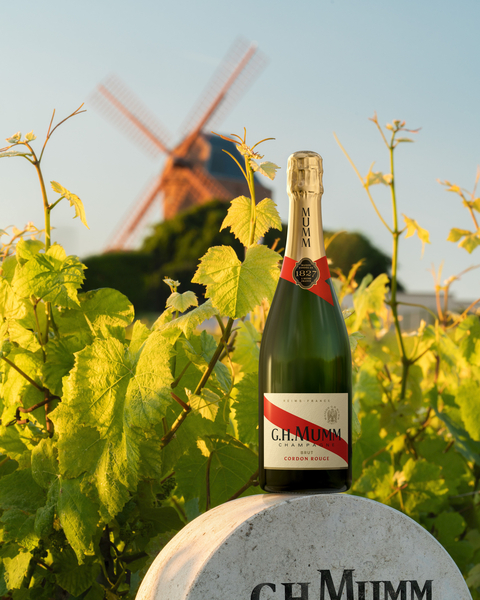 Repack Cordon Rouge – Moulin article