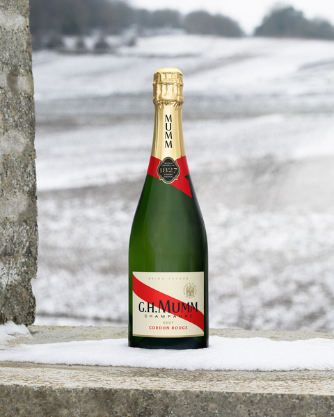 output.auto – repack cordon rouge – winter shoot 2025 – 2