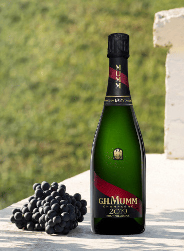 Millésimé 2019 Mumm - vignes