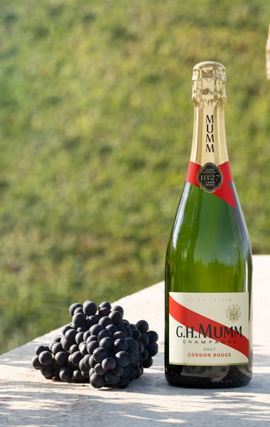 Pinot noir - cordon rouge