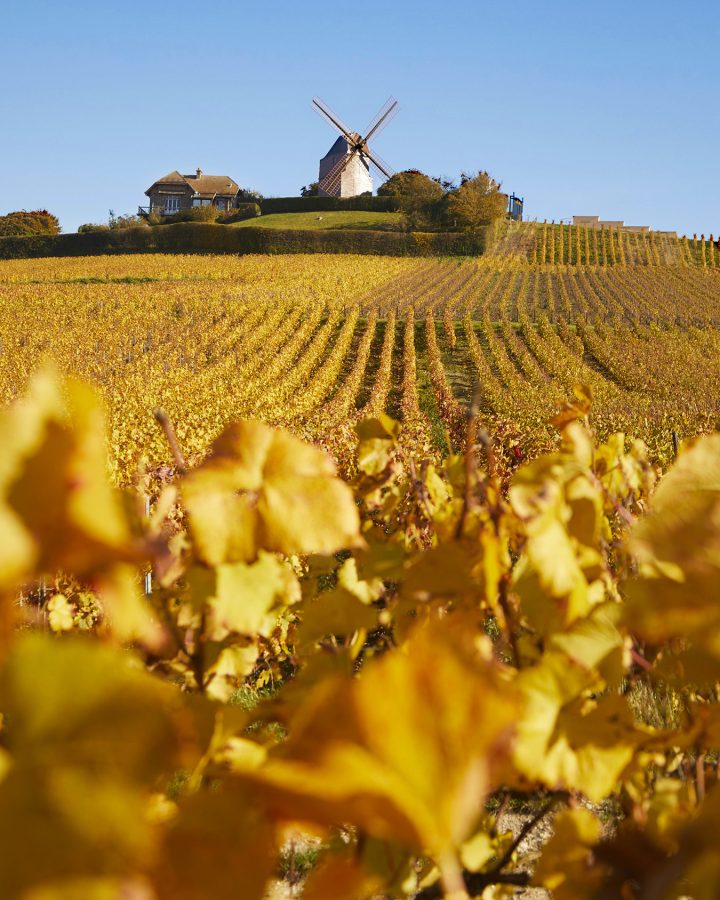 Moulin Verzenay - Mumm shoot 26