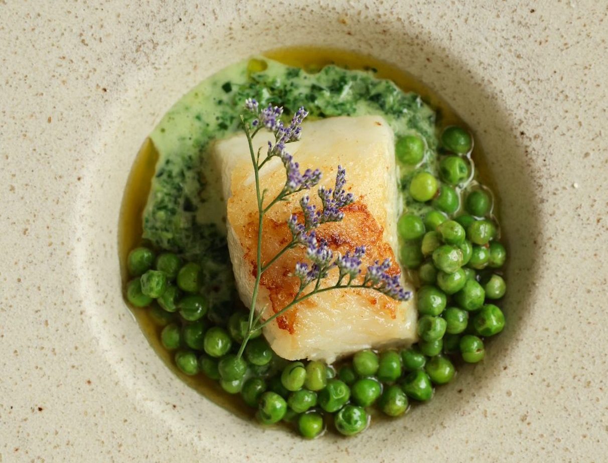 Pan-seared Cape hake, lemony morogo cream, fresh peas & spring onion oil - pairing Mumm Cordon Rouge