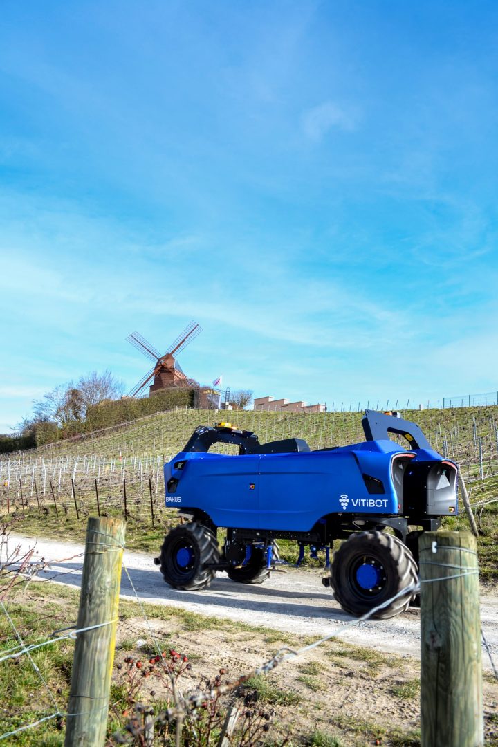 Mumm vignoble